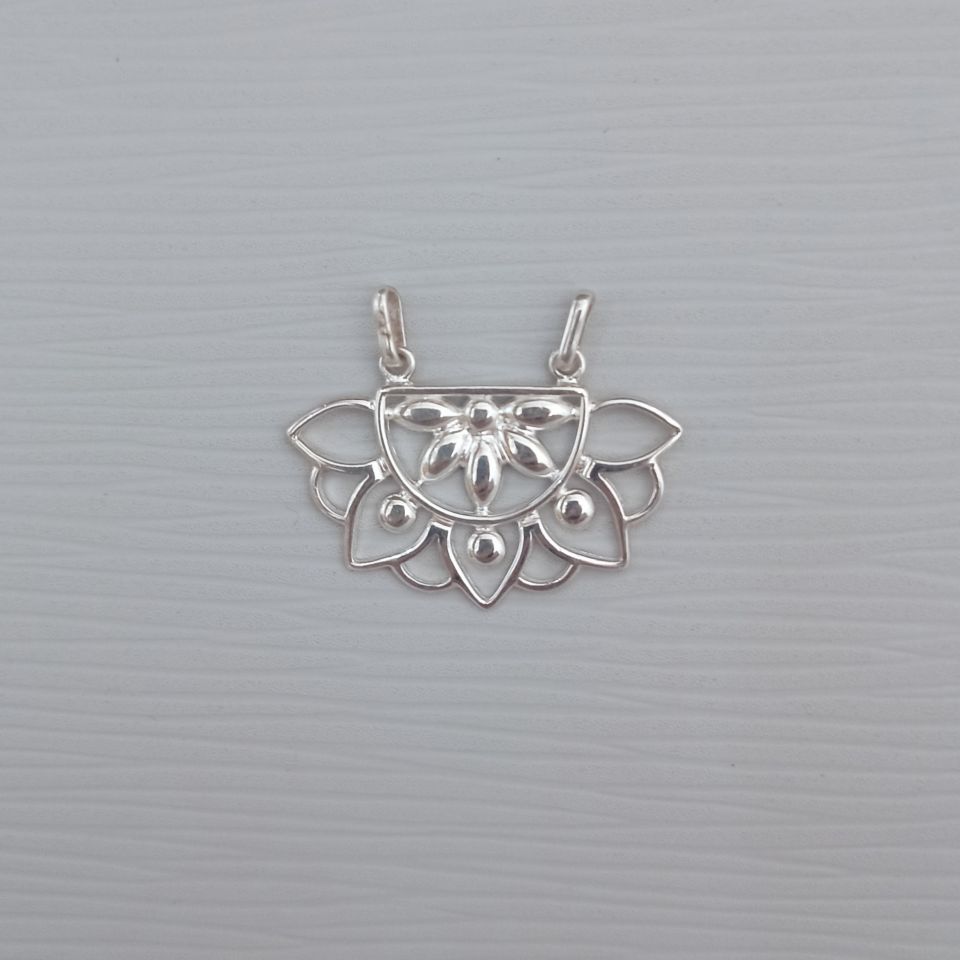 IMG_20250117_111329311~2