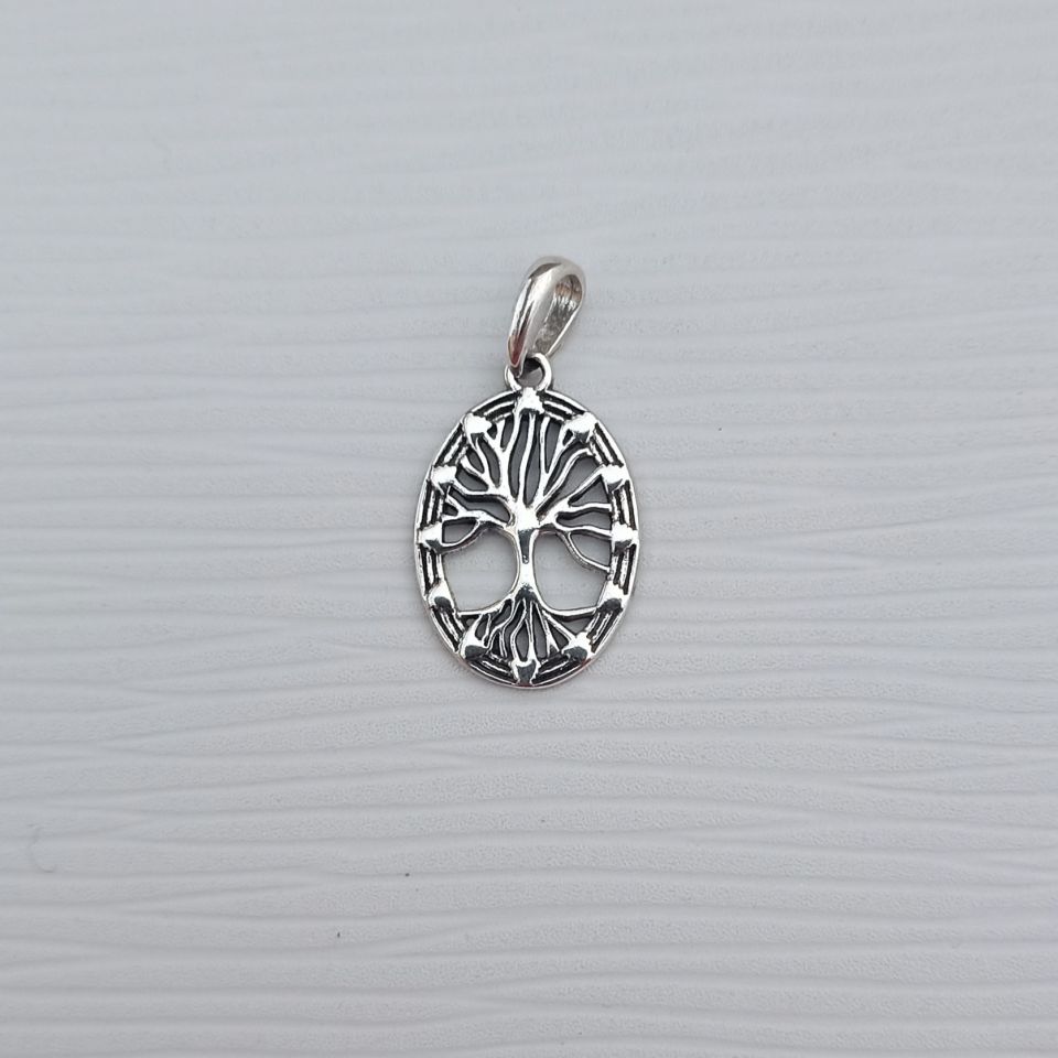 IMG_20250117_150549525~2