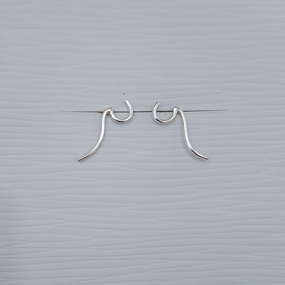 IMG_20250123_105236868~2