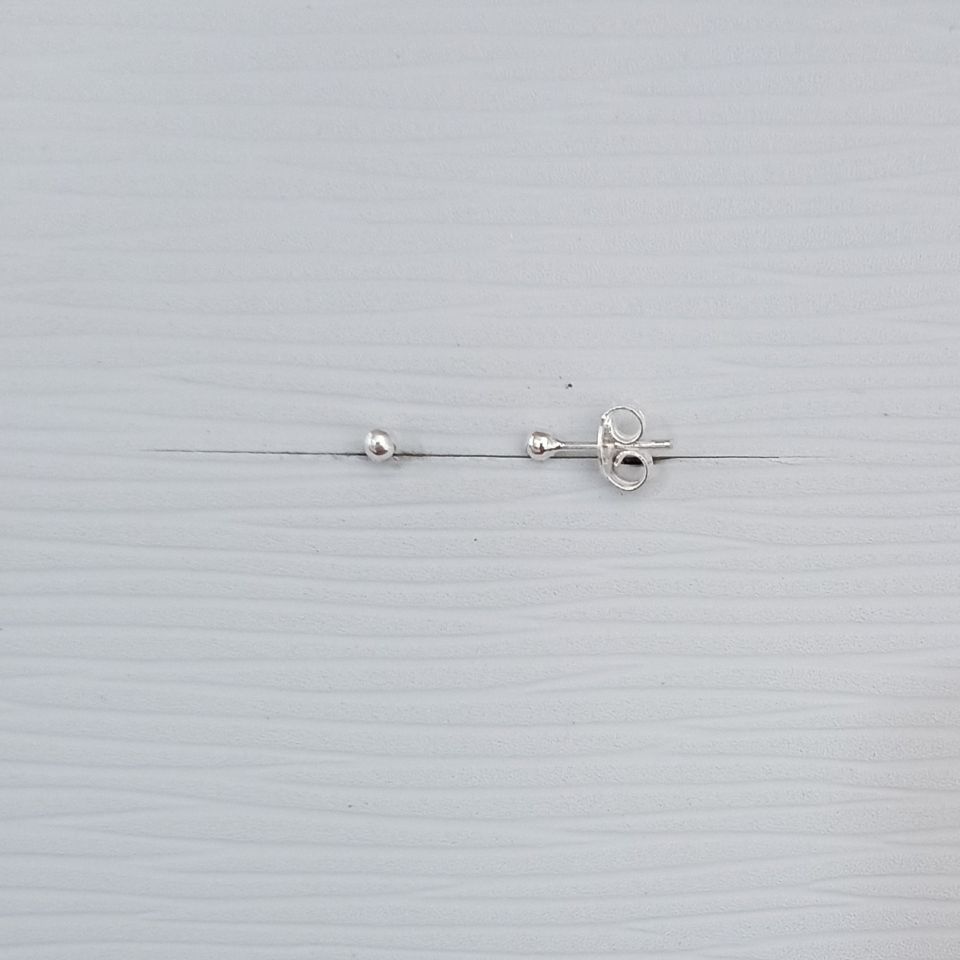 IMG_20250123_113356515~2