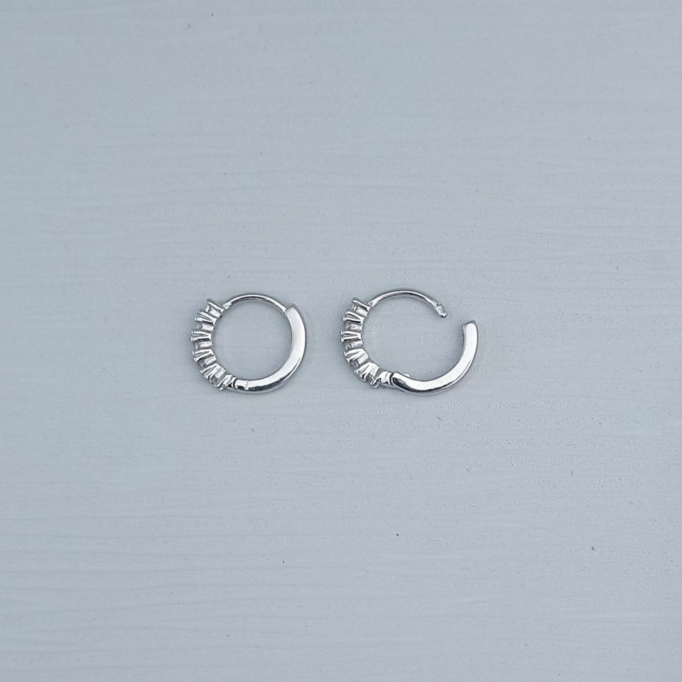 IMG_20250128_110518883~2