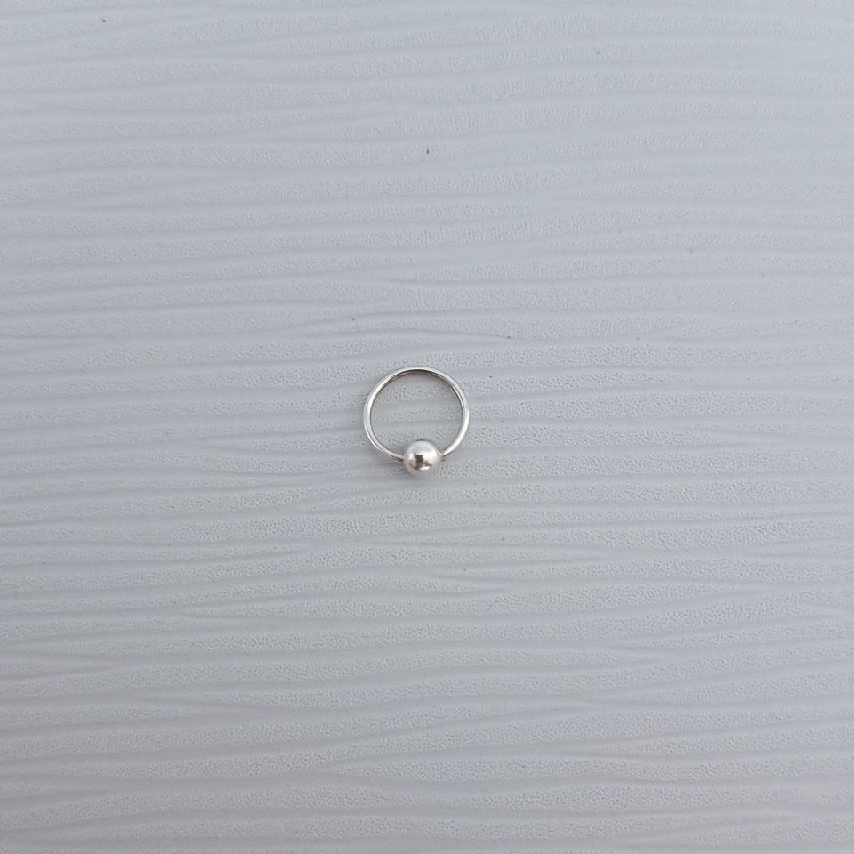 IMG_20250129_170622392~2