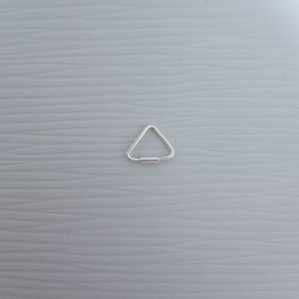 IMG_20250129_174954427~2