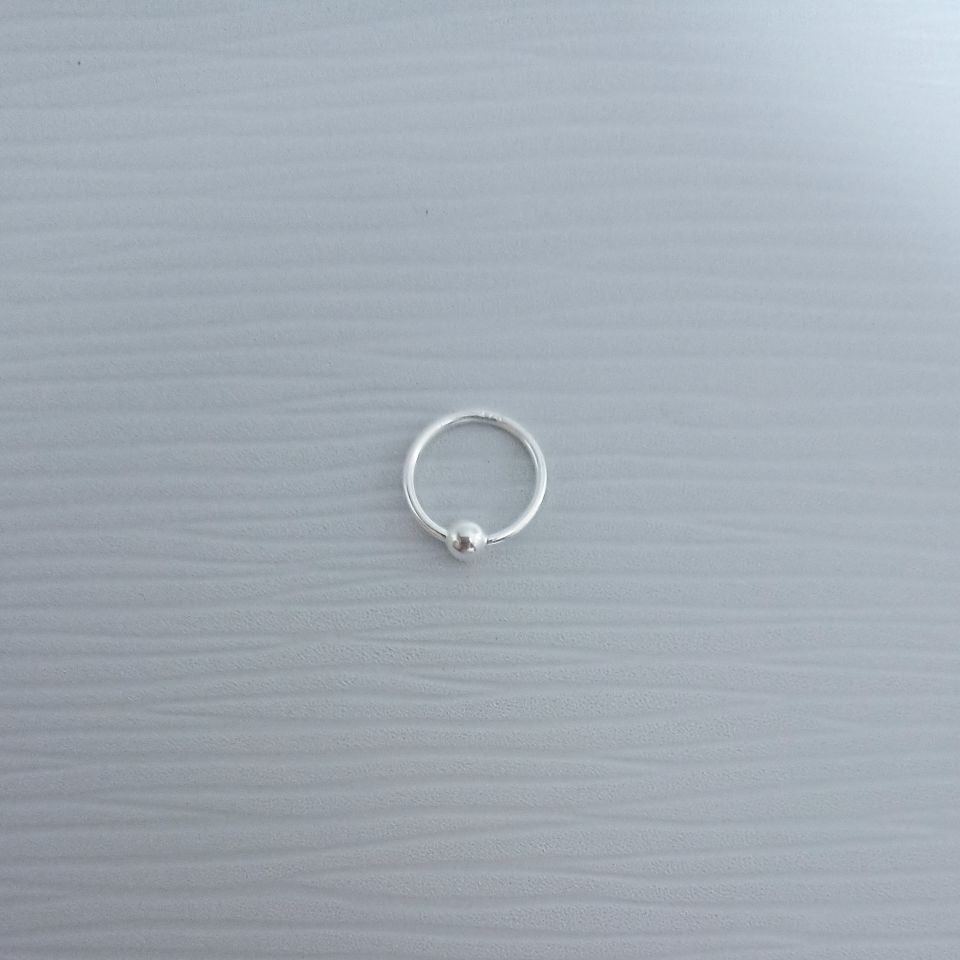 IMG_20250129_180241805~2