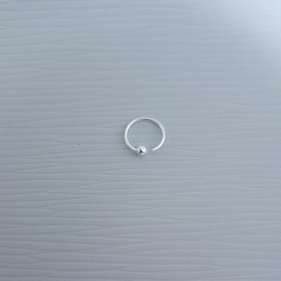 IMG_20250129_180259465~2