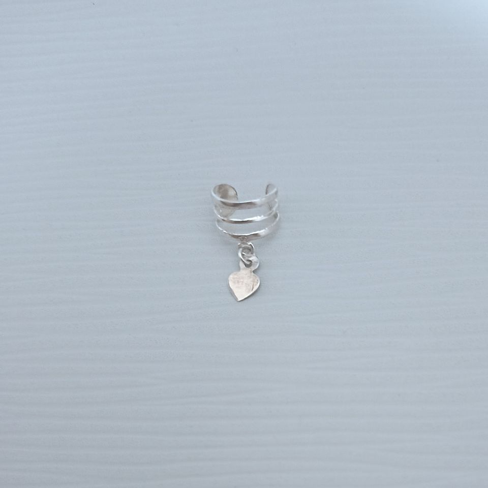 IMG_20250130_091007921~2