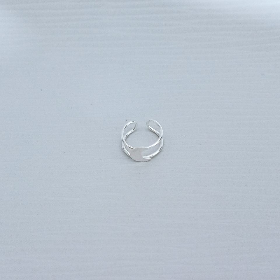 IMG_20250130_173311827~2