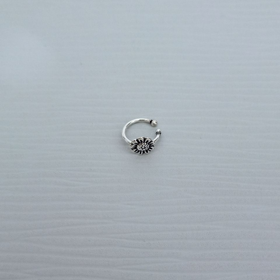 IMG_20250130_185815300~2