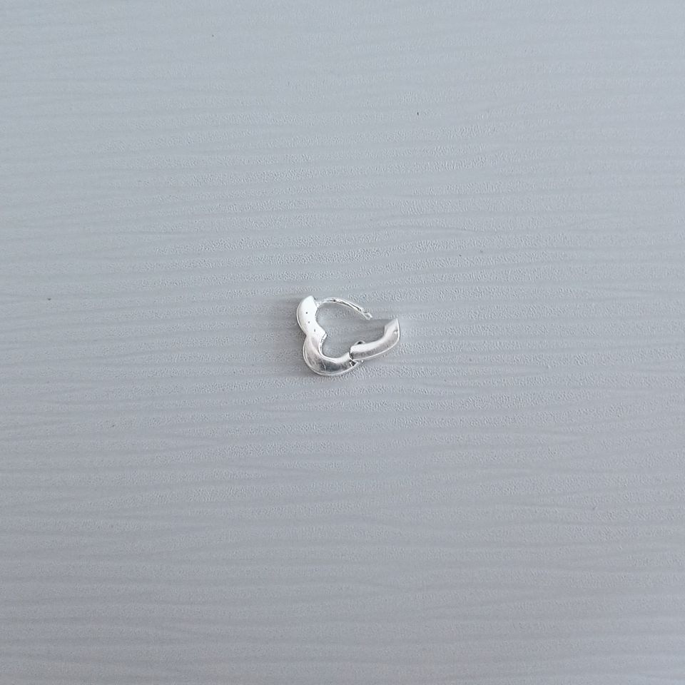 IMG_20250131_083039745~2