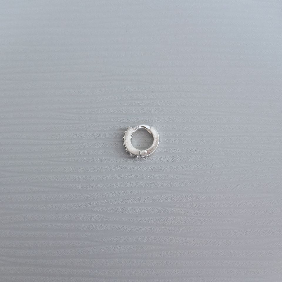 IMG_20250131_092646766~2