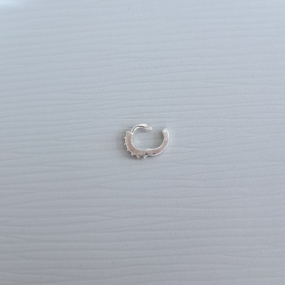 IMG_20250131_092849993~2