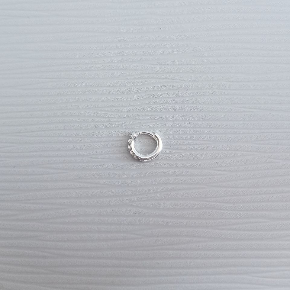 IMG_20250131_100801394~2