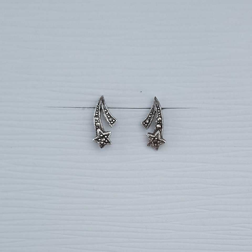 IMG_20250127_104042283~2