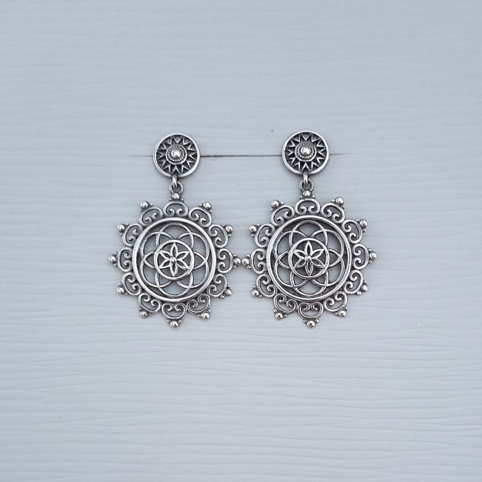 IMG_20250127_111051212~3