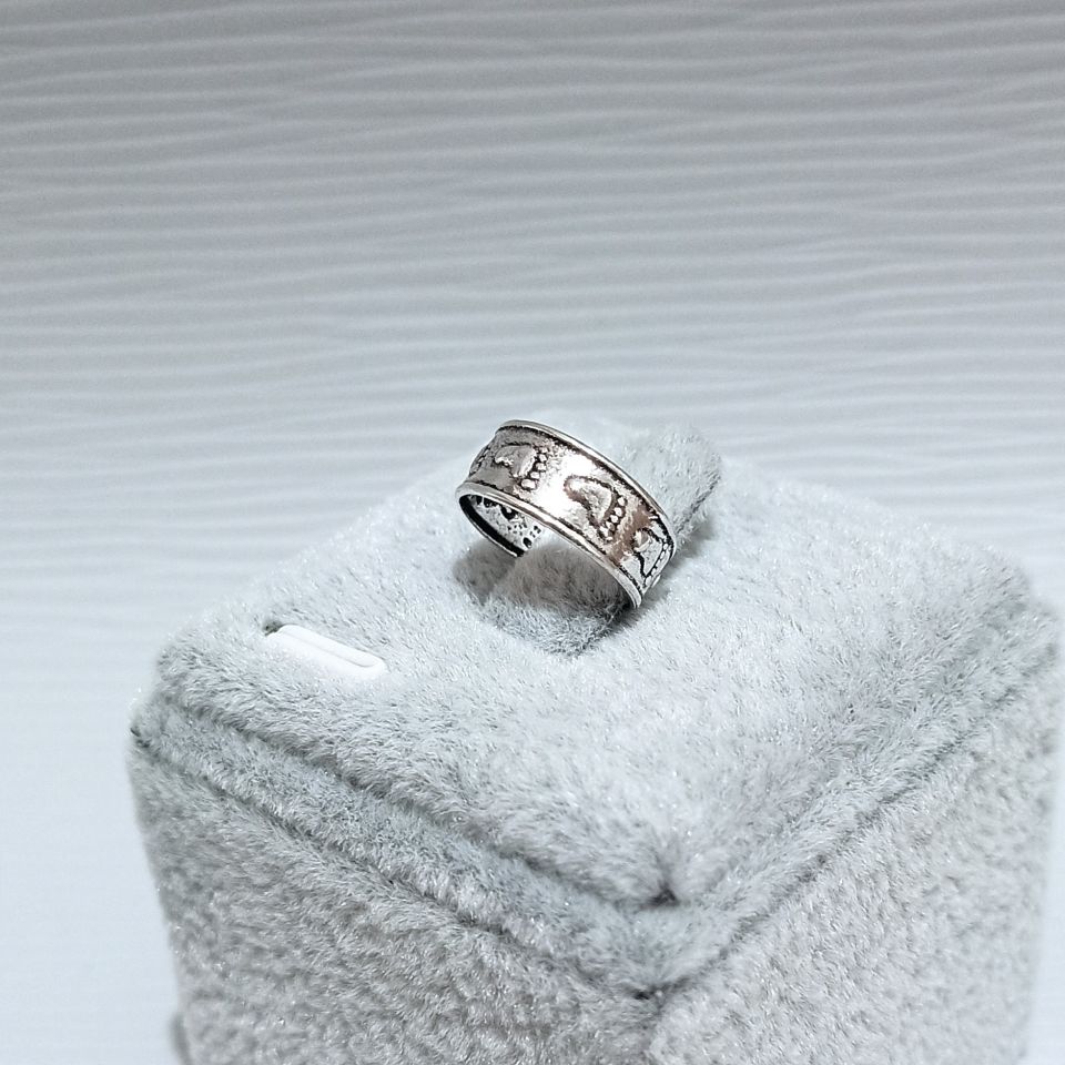 IMG_20250204_171235469~2