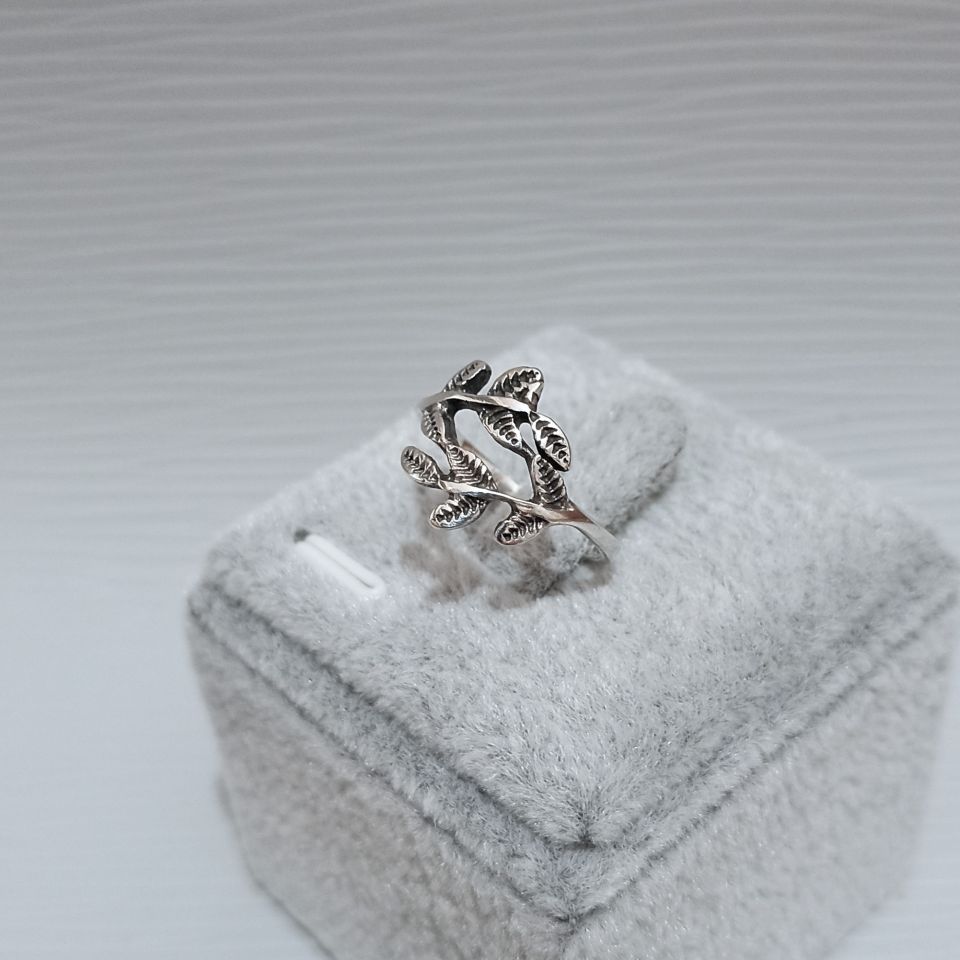 IMG_20250205_101923019~2