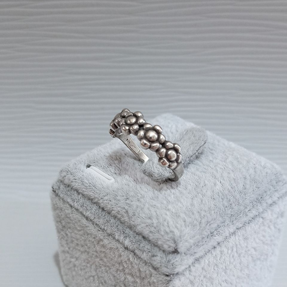 IMG_20250205_112357819~2