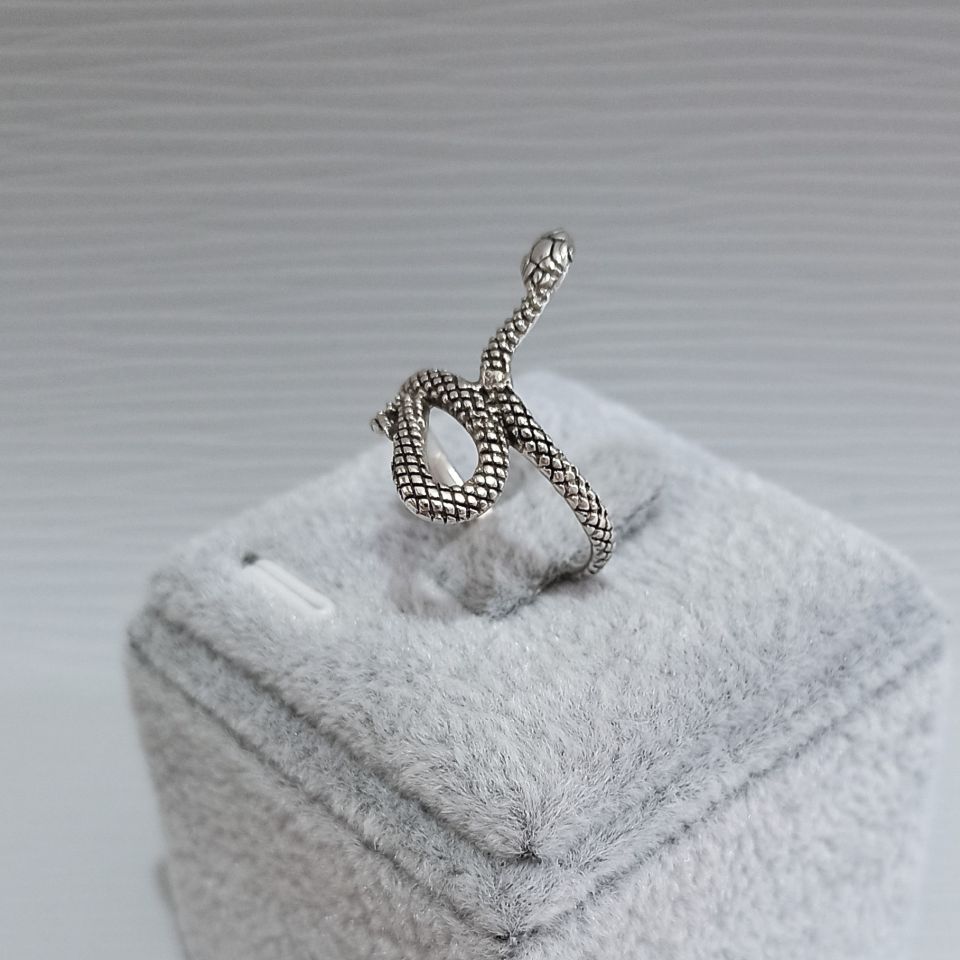 IMG_20250205_112819468~2