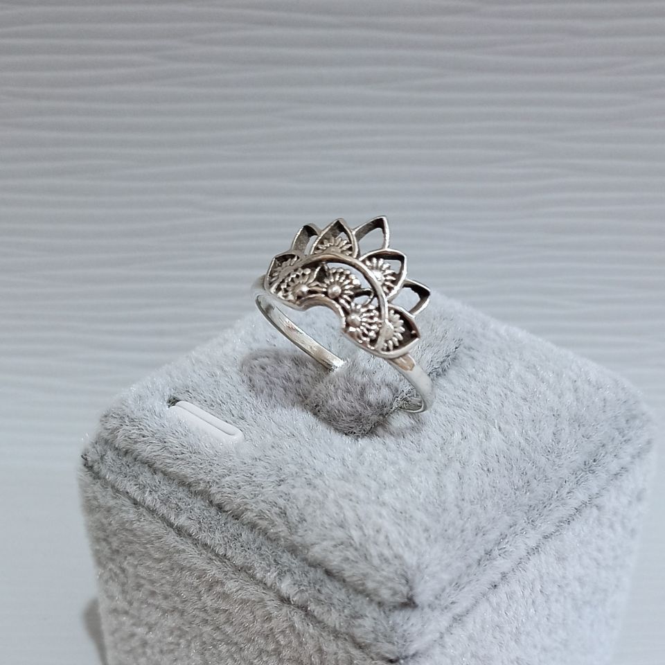 IMG_20250206_093226025~2