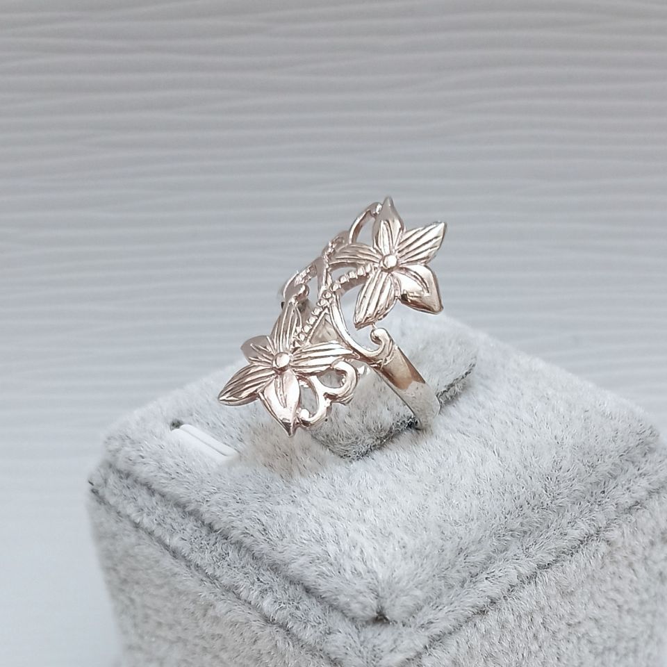 IMG_20250206_153117217~2