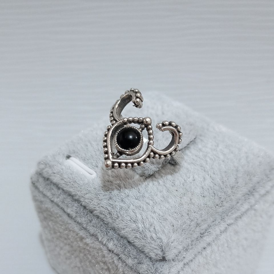 IMG_20250210_150645933~2