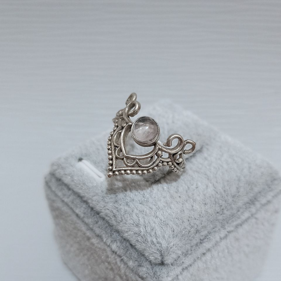 IMG_20250210_151043356~2