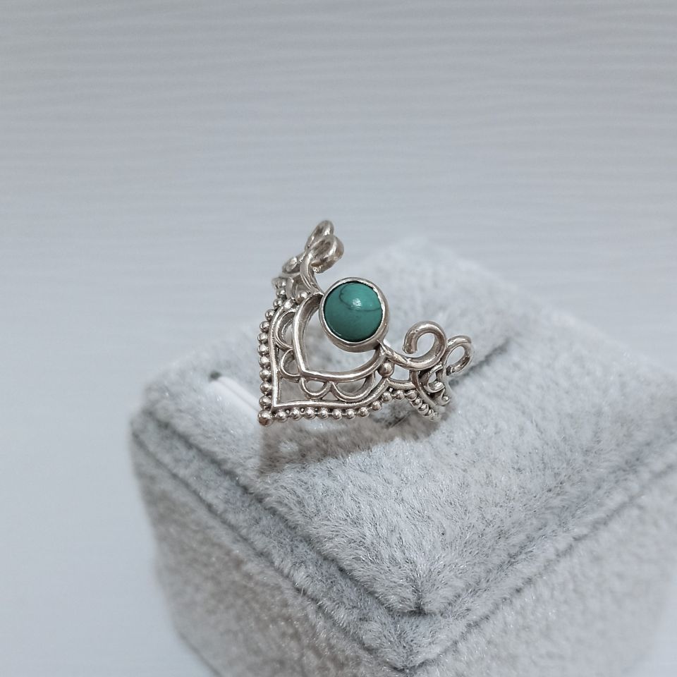 IMG_20250210_151231638~2