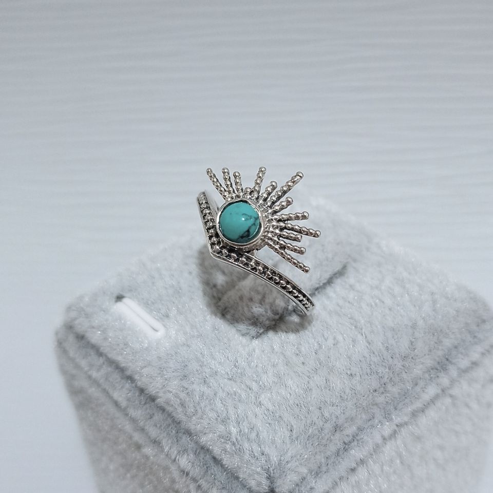 IMG_20250210_151904077~2