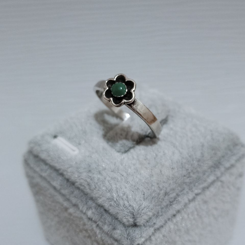 IMG_20250210_153116116~2