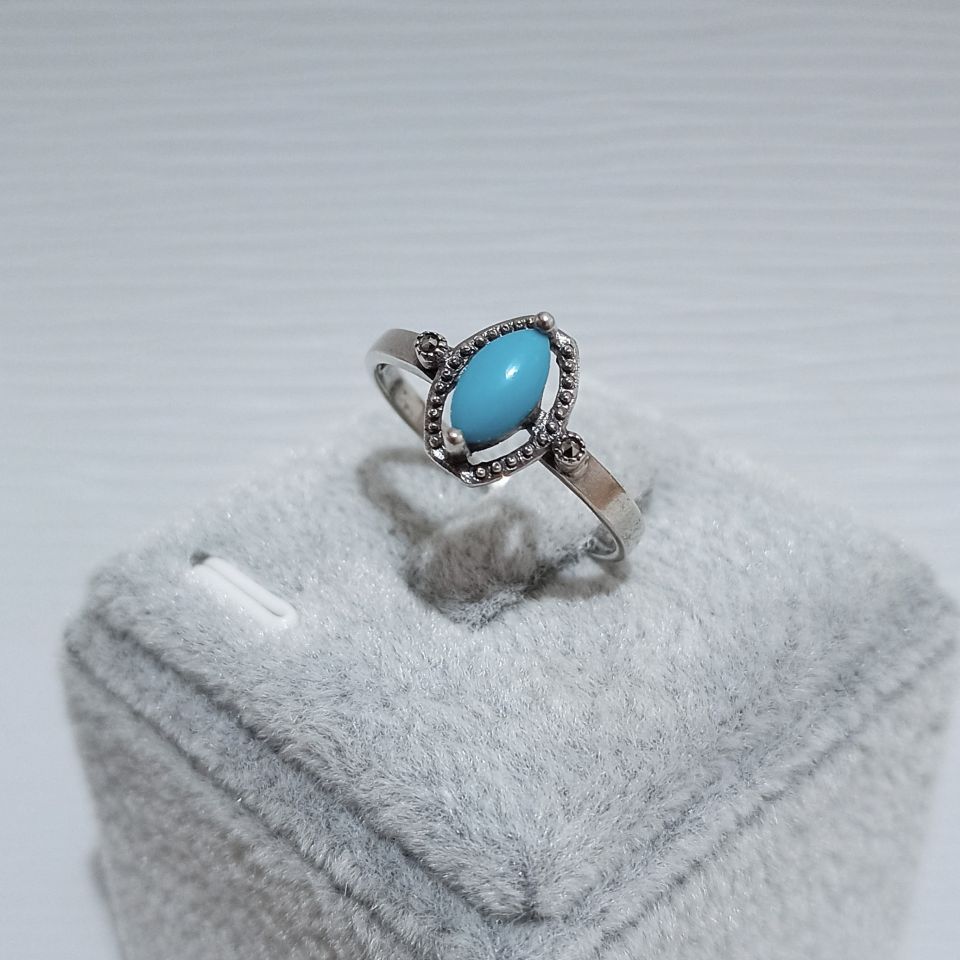 IMG_20250210_154307063~2