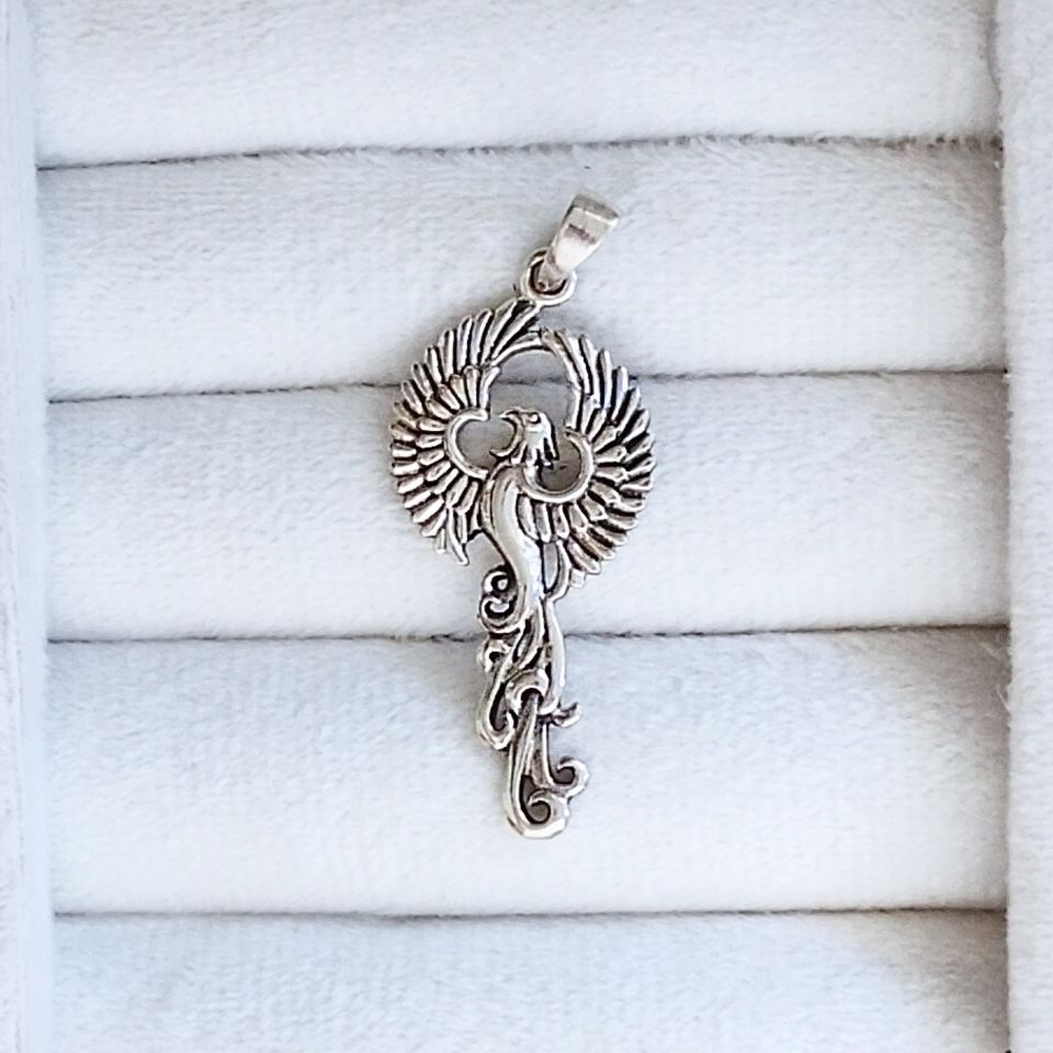 IMG_20250531_153330_SR~2