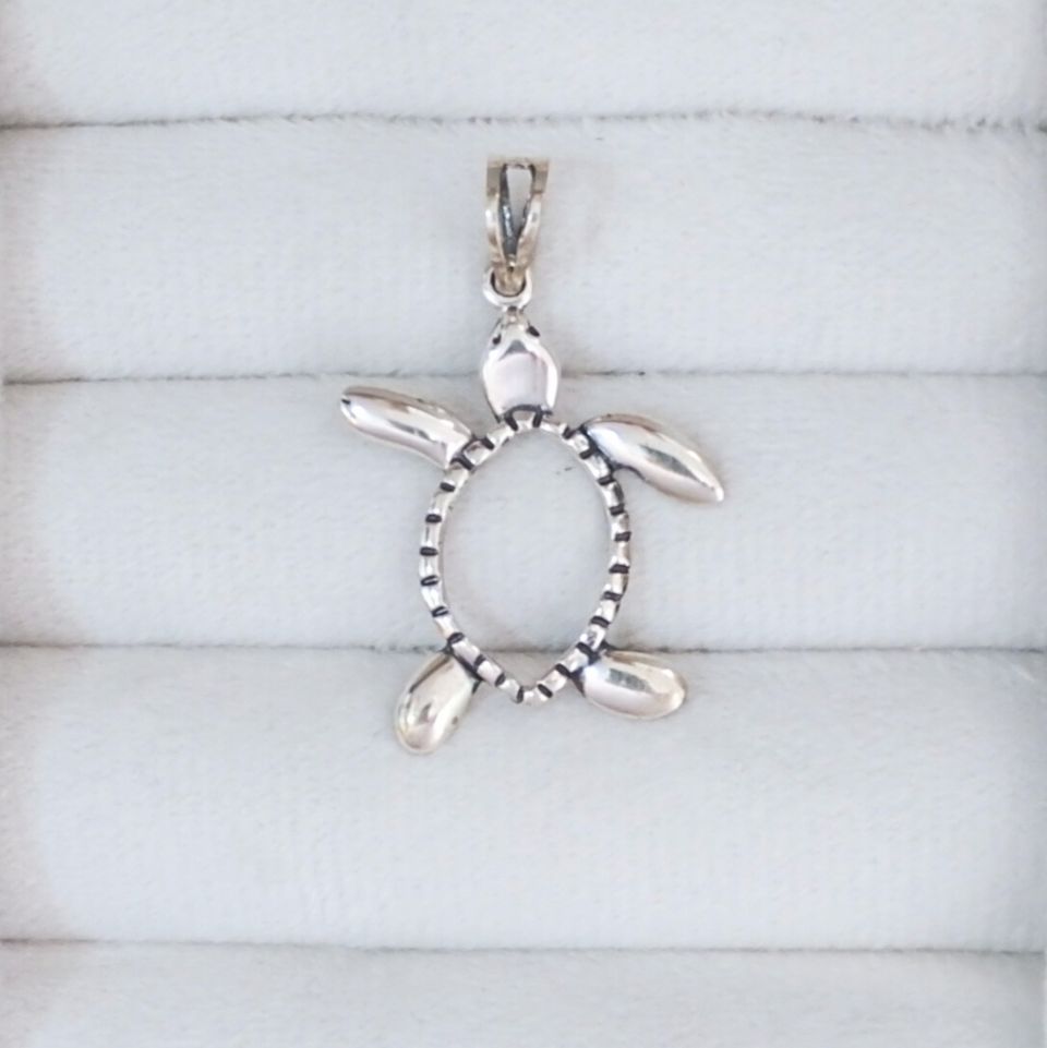 IMG_20250531_155641~2