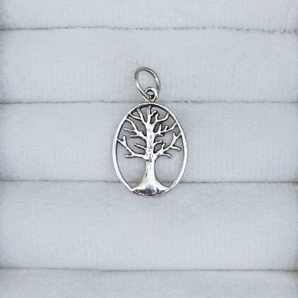 IMG_20250531_165238_SR~2