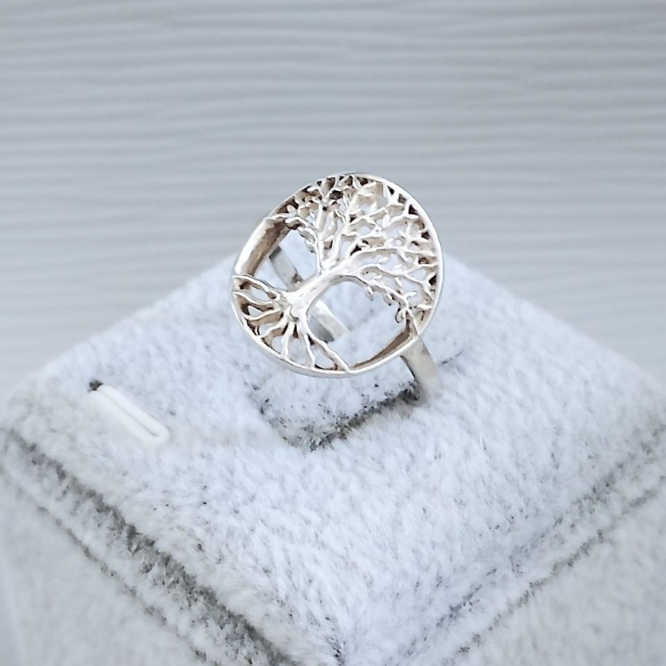 IMG_20250606_135920~2