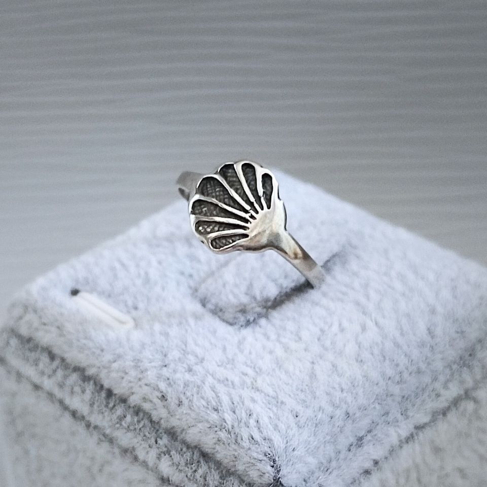 IMG_20250606_150742~2