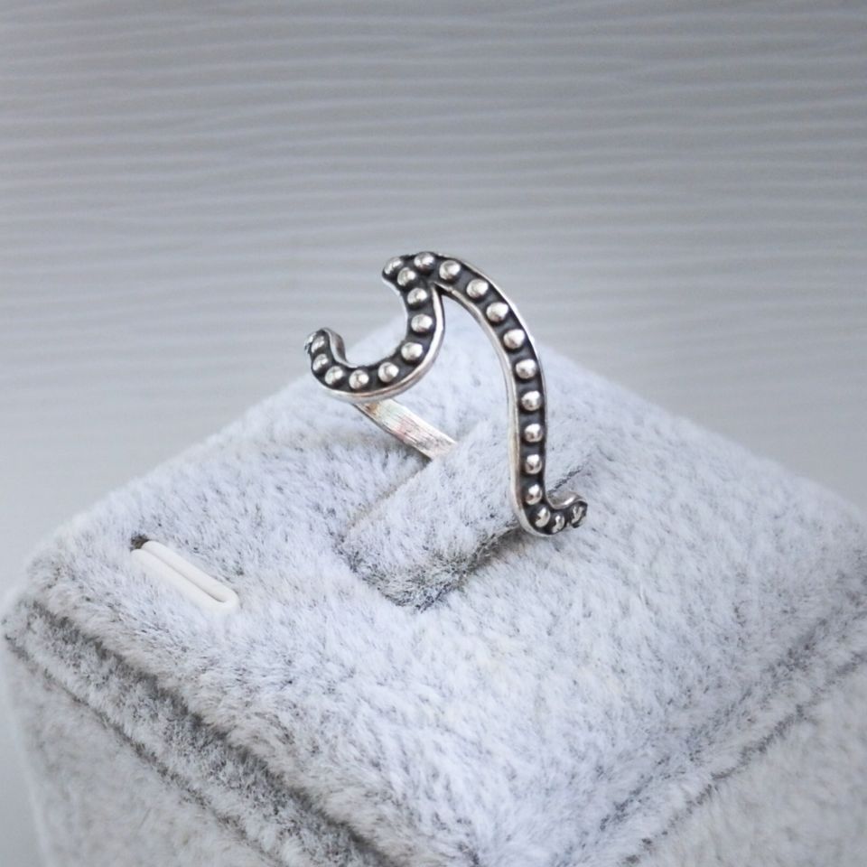 IMG_20250606_151315~2