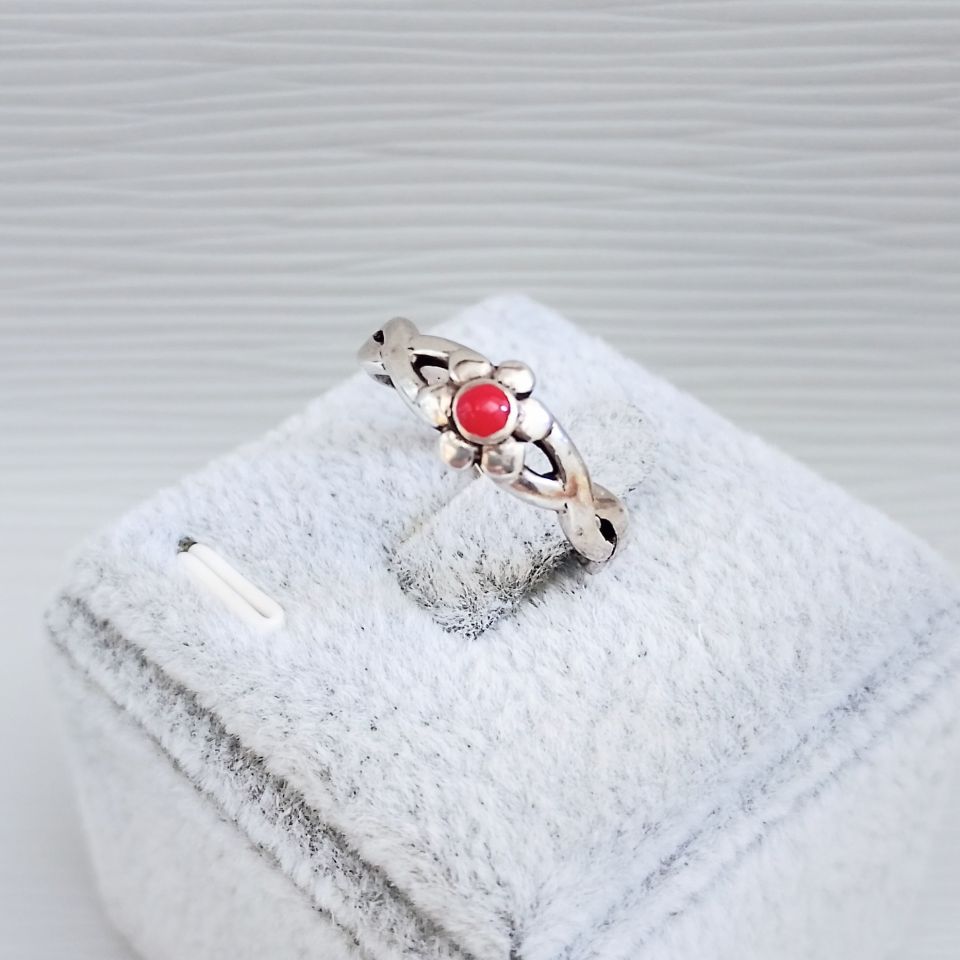 IMG_20250610_154506~2